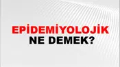 Epidemiyolojik