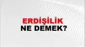 Erdişilik