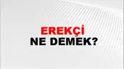 Erekçi