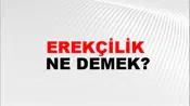 Erekçilik