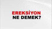 Ereksiyon