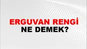 Erguvan Rengi
