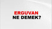 Erguvan