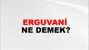 Erguvani