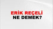 Erik Reçeli
