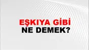 Eşkıya Gibi