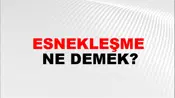 Esnekleşme