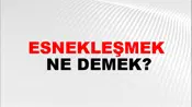 Esnekleşmek