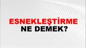 Esnekleştirme