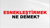 Esnekleştirmek