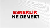 Esneklik