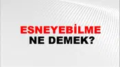 Esneyebilme