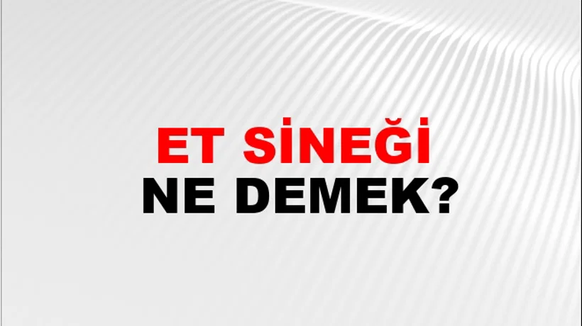 Et Sineği Et Sineği