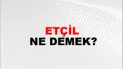 Etçil
