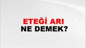 Eteği Arı