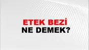 Etek Bezi