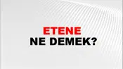 Etene