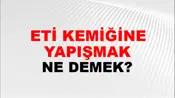 Eti Kemiğine Yapışmak
