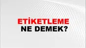 Etiketleme