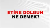 Etine Dolgun