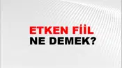 Etken Fiil