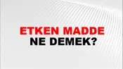 Etken Madde