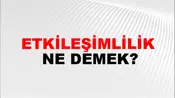 Etkileşimlilik