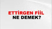 Ettirgen Fiil