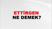Ettirgen