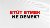 Etüt Etmek