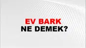 Ev Bark