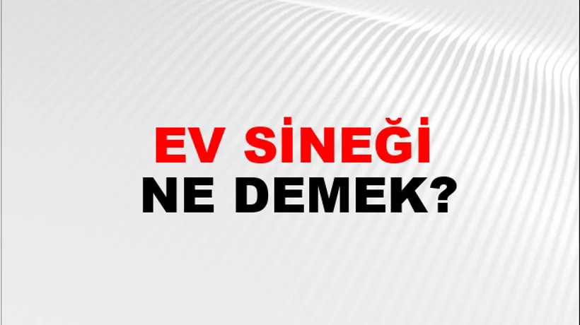 Ev Sineği Ev Sineği