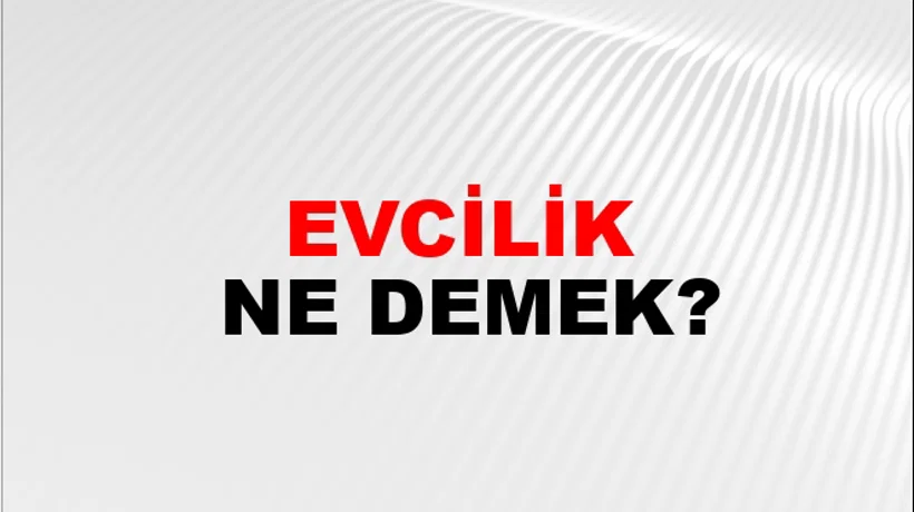 Evcilik Evcilik