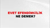 Evet Efendimcilik