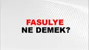 Fasulye