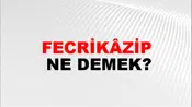 Fecrikâzip