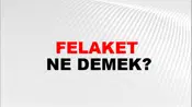 Felaket