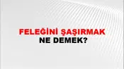 Feleğini Şaşırmak