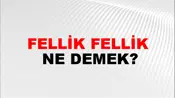 Fellik Fellik