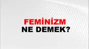 Feminizm