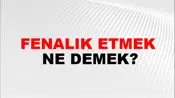 Fenalık Etmek