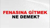 Fenasına Gitmek