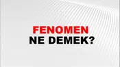 Fenomen
