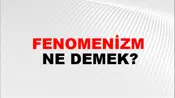 Fenomenizm