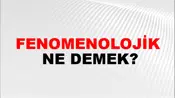Fenomenolojik