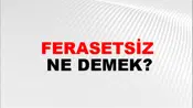 Ferasetsiz