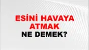 Fesini Havaya Atmak