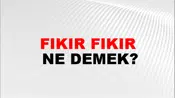 Fıkır Fıkır