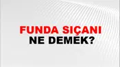 Funda Sıçanı