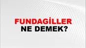 Fundagiller
